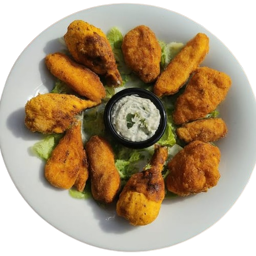 Starters